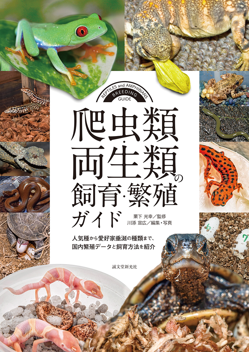 資料